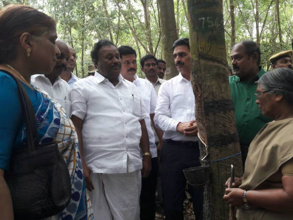 Rubber park government consider says Forest Minister 