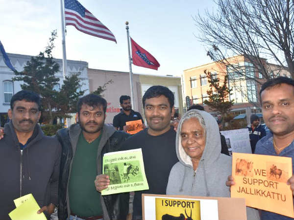 Pro Jallikkattu agitation in Walmart capital