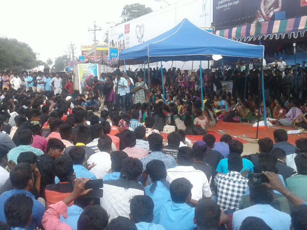 Hundreds of youths seek ordinance on Jallikattu ban in Dindigul