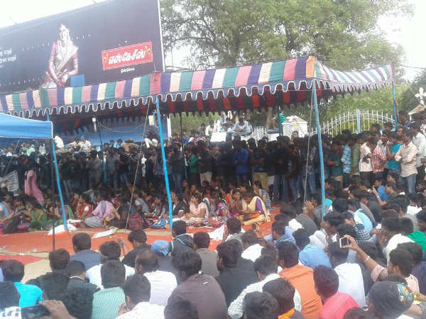 Hundreds of youths seek ordinance on Jallikattu ban in Dindigul