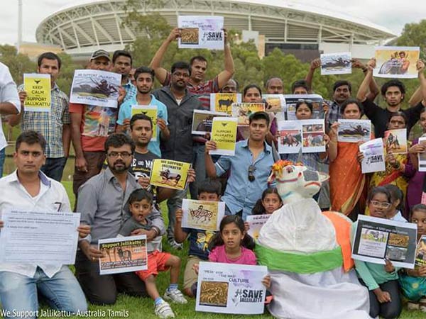 Jallikattu row: Tamils protest in Australia
