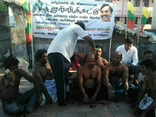 TVK protest for supporting Jallikattu