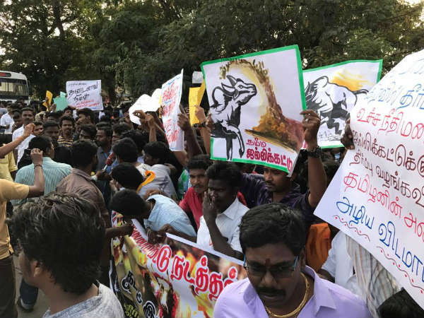 Jallikattu supporters protest in Vilupuram 