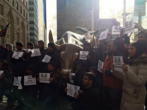 US Tamils supports Jallikkattu and write to PM Modi