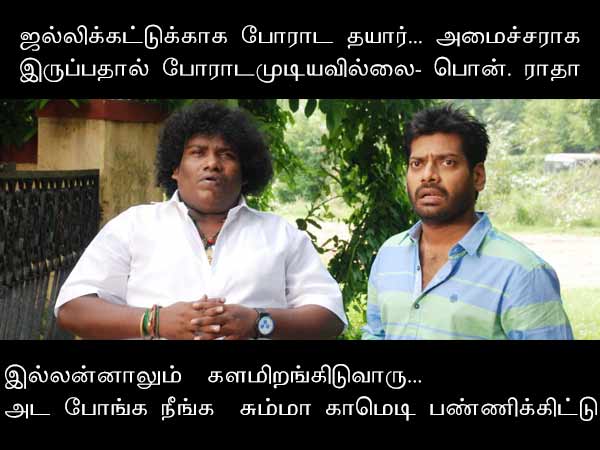 Jallikattu memes politicians statement