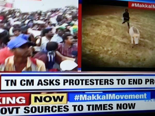 Now, North Indian media say TN protest as People's Movement
