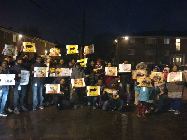  Protest in America for Jallikattu!! 