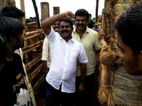 Seeman's letter to students who participate in Jallikkattu protestes 