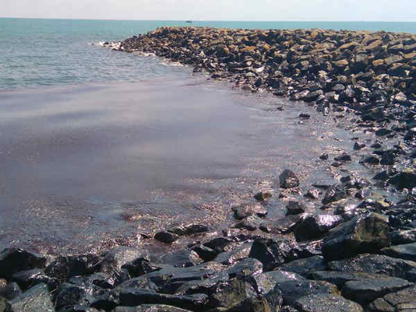 மீனவர்கள் வாழ்வாதாரம் பாதிப்பு 