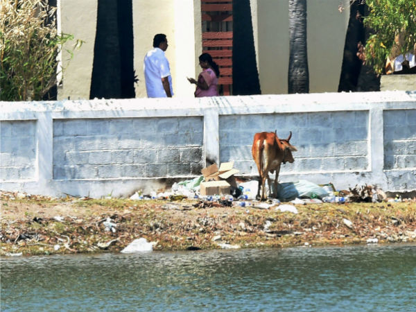 கூவத்தூருக்கு வரக் கோரிக்கை 