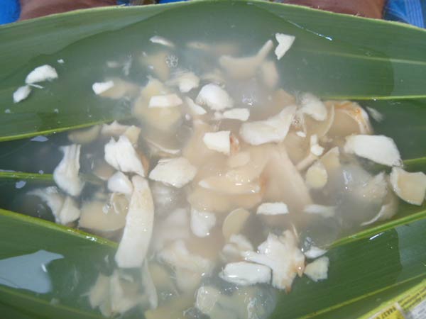 பதநீர் பதநீர்