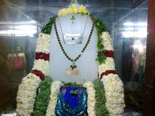 உயிரினங்களுக்கு நன்மை