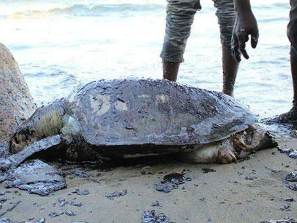 கள ஆய்வு 