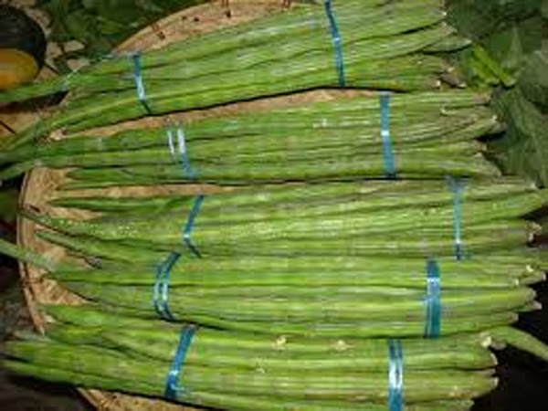 முருங்கை விலை குறைவு