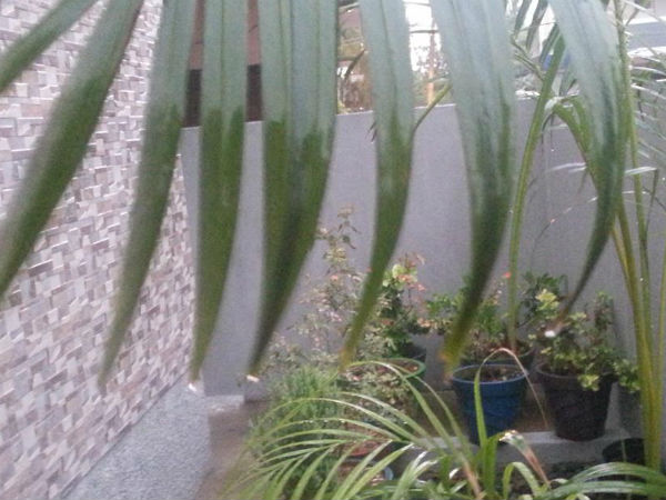 குடிநீர் பிரச்சினை