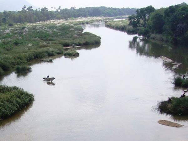 அதுவும் இதுவும் ஒன்றா