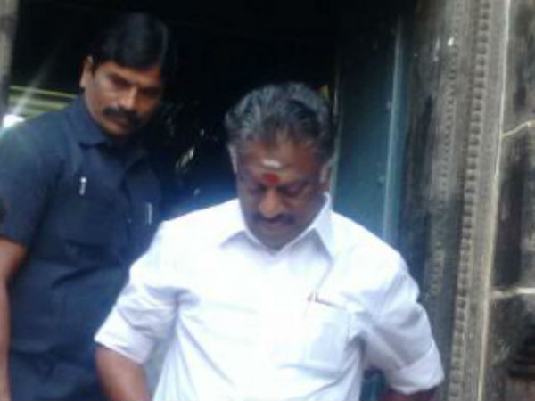 குதிரையை கும்பிட்ட ஓபிஎஸ் 