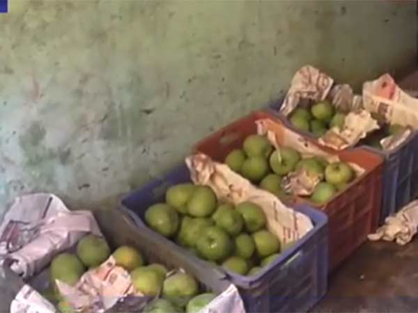 ரசாயன அளவு உத்தரவாத சான்றிதழ்