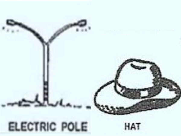 முக்கிய வேட்பாளர்கள்