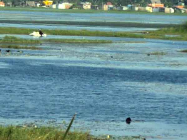 சோழவரம் ஏரி வறண்டது