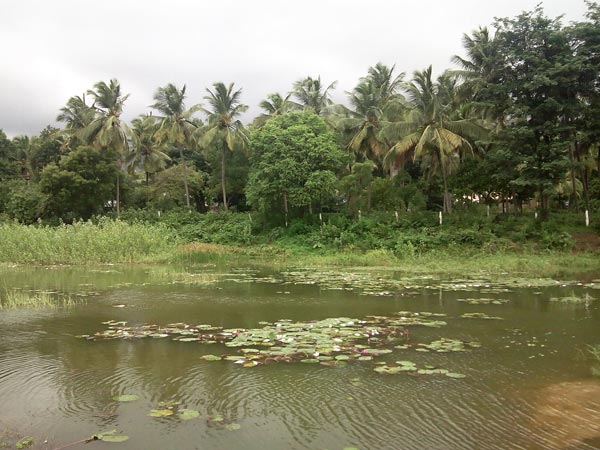 தண்ணீர் தட்டுப்பாடு