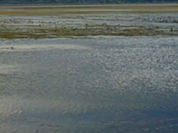 வீராணமும் வறண்டது