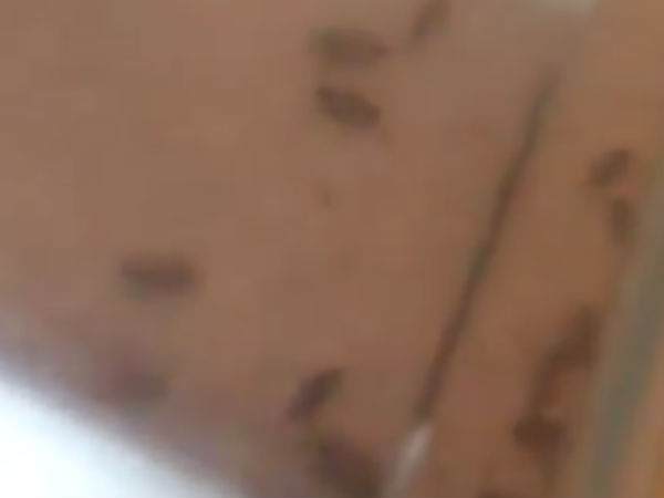 குற்றச்சாட்டு 