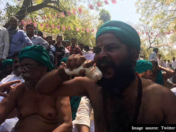 எலிக்கறி 