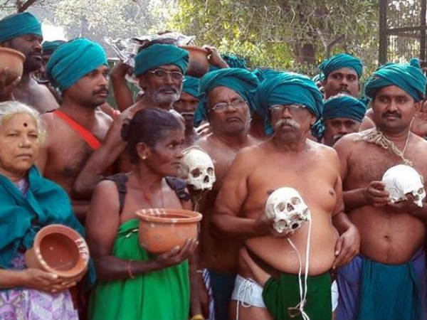  மண்டை ஓடு 