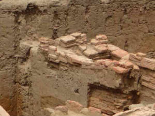 ஆய்வின் அடுத்த கட்டம் ஆய்வின் அடுத்த கட்டம்