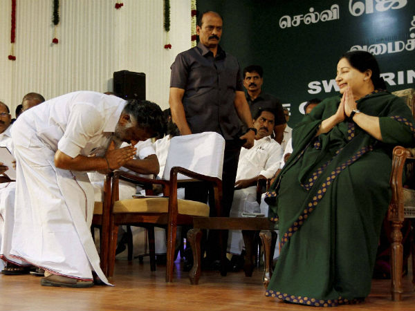 உண்மை விசுவாசி