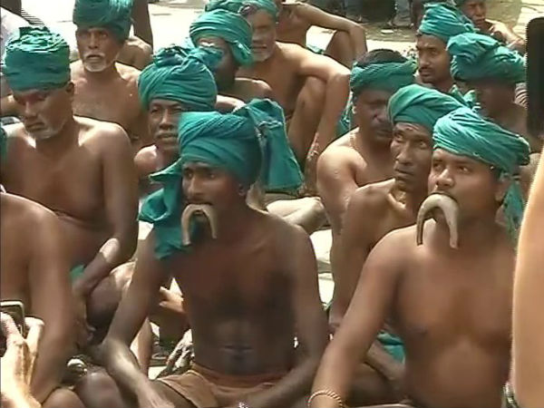 பாம்புக் கறி 