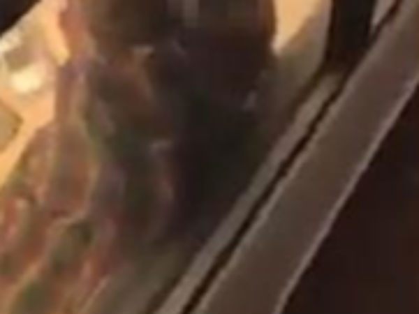 அலறல் சப்தம்