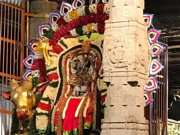 ரிஷப அமைப்பு 