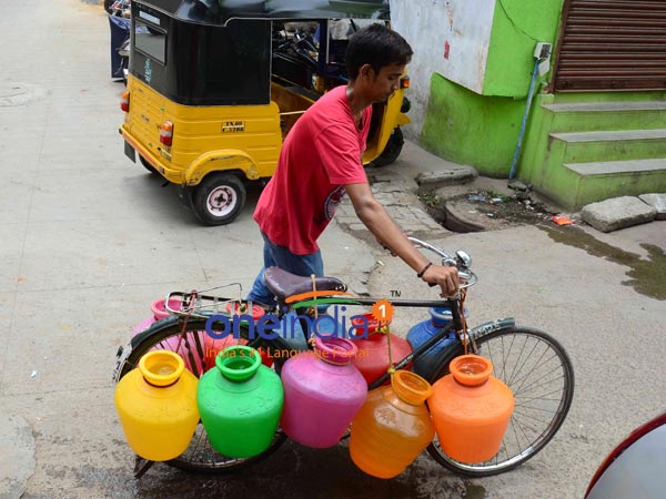 கால்நடைகளுடன்... 