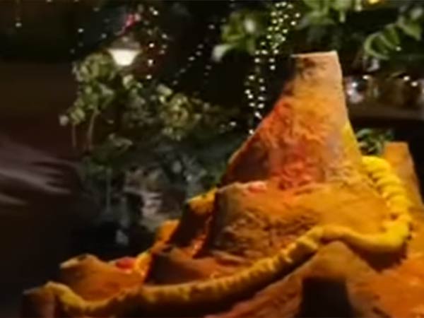 பழிவாங்கத் துடிக்கும் பாம்பு