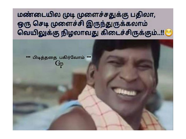 செடி முளைச்சிருக்கலாம்