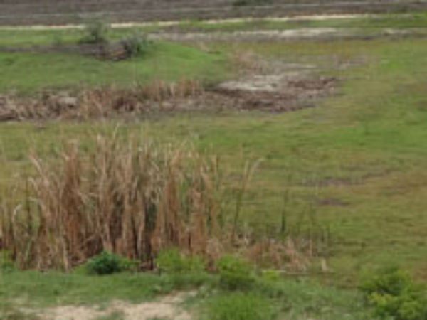 கொள்கை முடிவு 