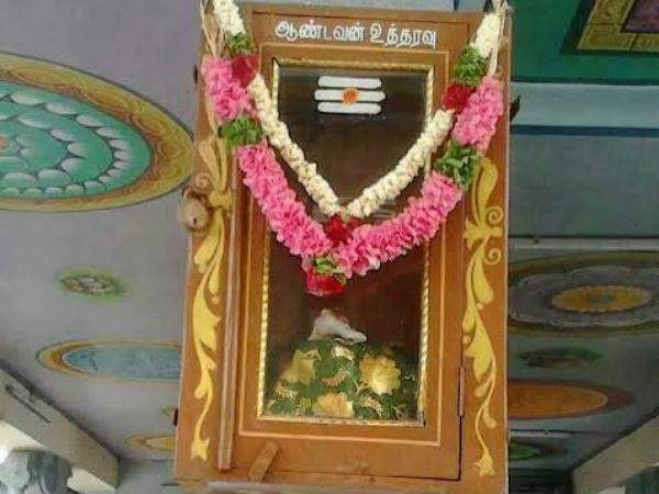  வெள்ளைப்பூ