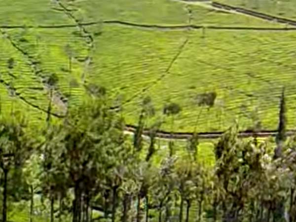  கொள்ளையடித்தது என்ன? 