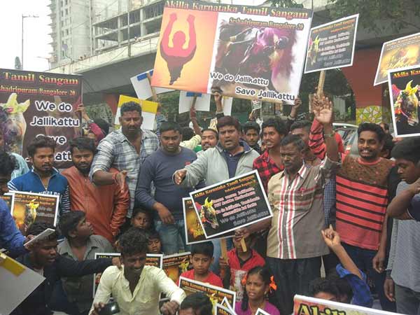 ஜல்லிக்கட்டு போராட்டம்