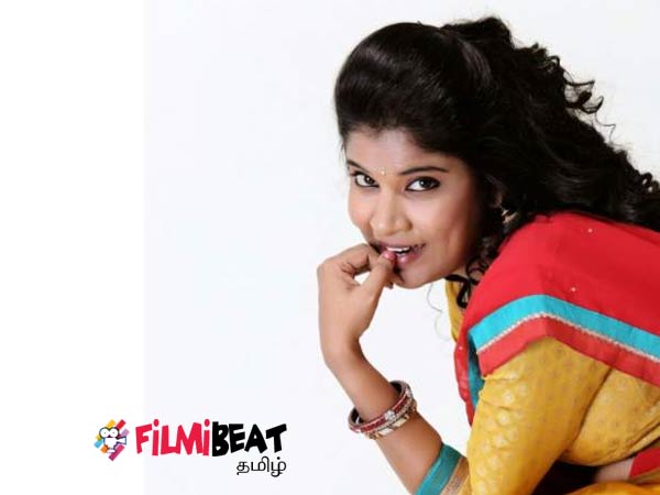 சின்னத்திரை சீரியல்