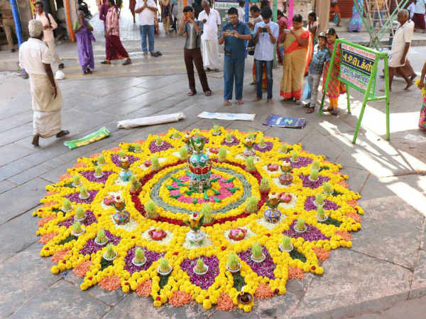 சுற்றுலா பயணிகள் வருகை 