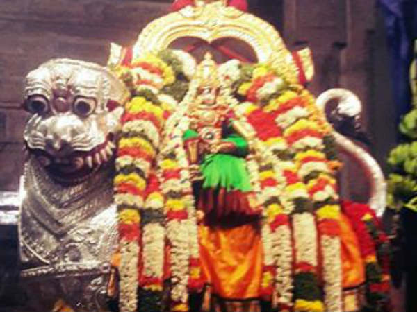 சிம்மவாகனத்தில் உலா 