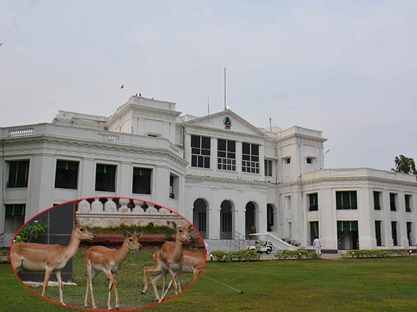 வாசிப்பாரா? 