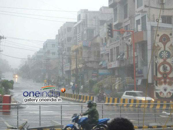 அணை பகுதியில் சாகுபடி 