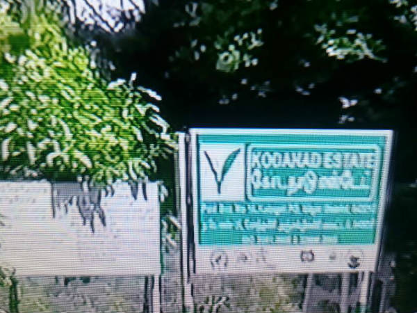 கொள்ளையடித்தது உண்மை 