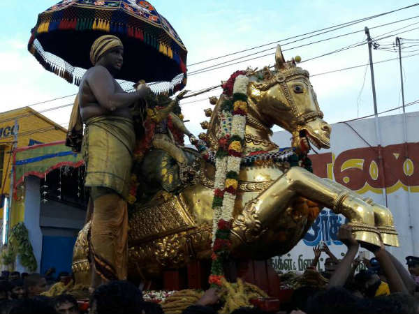 பக்தர்கள் உற்சாகம்