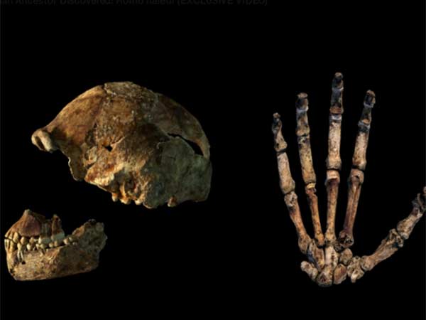 தென் ஆப்பிரிக்காவில் கண்டுபிடிப்பு