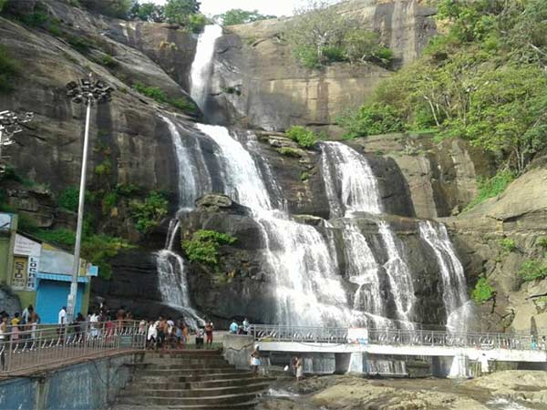 அருவிகளில் தண்ணீர்